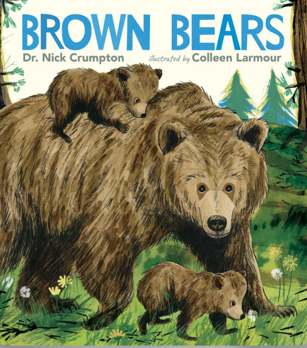 Brown Bears - Gorgeous Science Picture Book - Alder & Alouette