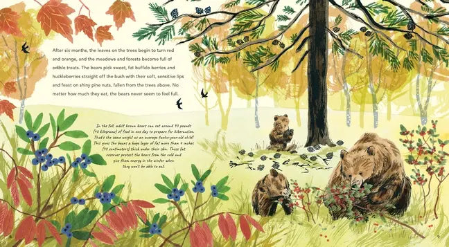 Brown Bears by Nick Crumpton + Colleen Larmour - Alder & Alouette