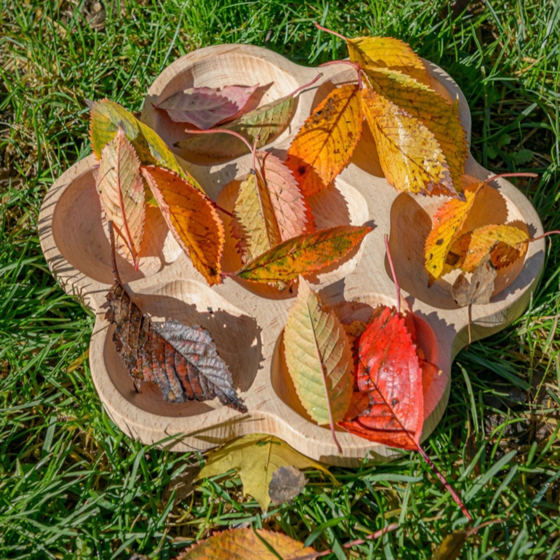 Sorting Tray for Nature Play and Small Parts Play - Alder & Alouette