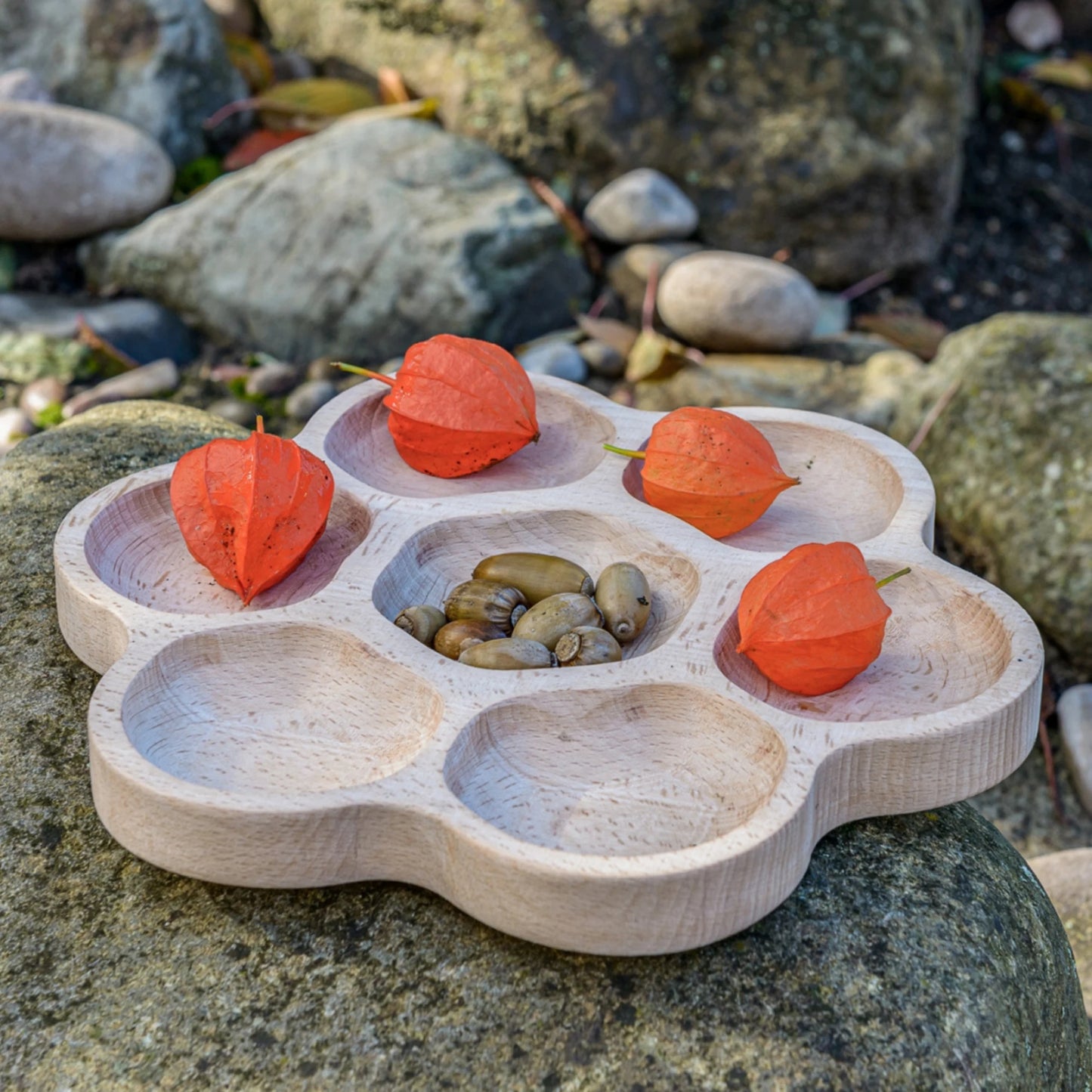 Sorting Tray for Nature Play and Small Parts Play - Alder & Alouette