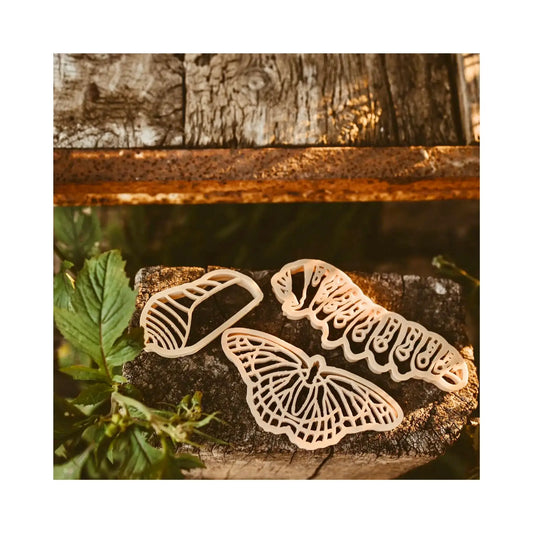 Butterfly Life Cycle Eco Cutter Set - Alder & Alouette