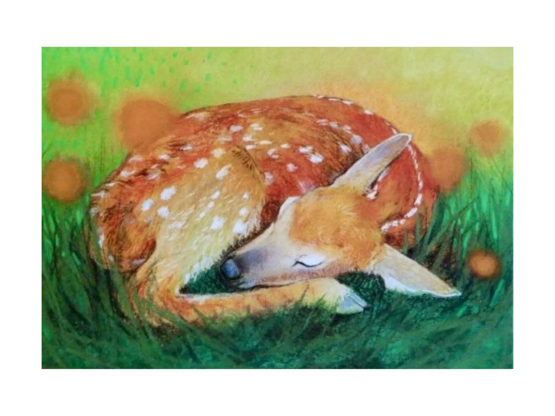 Sleeping deer lying on grass with a colorful background