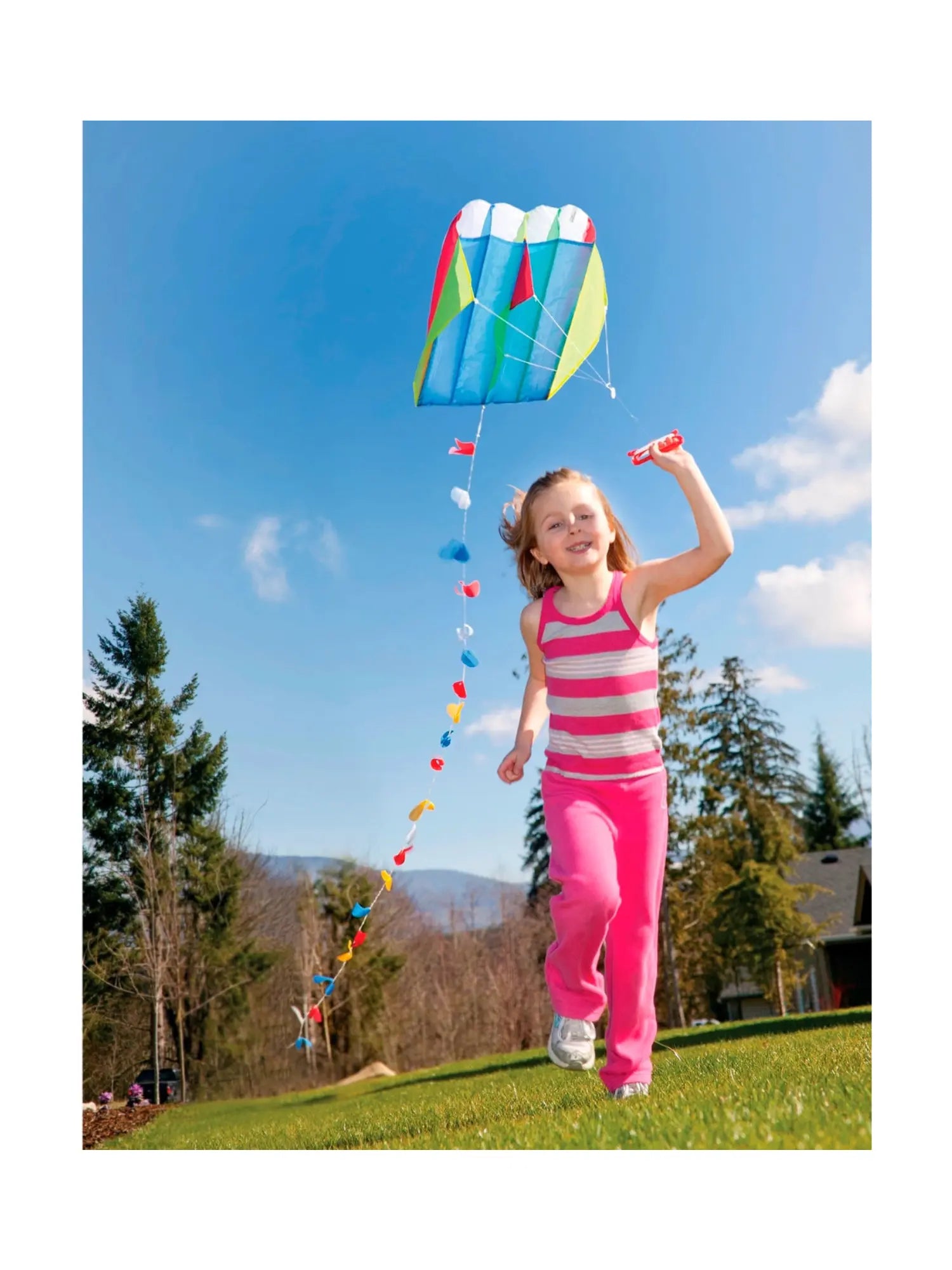 Parafoil Kite for Kids - Alder & Alouette