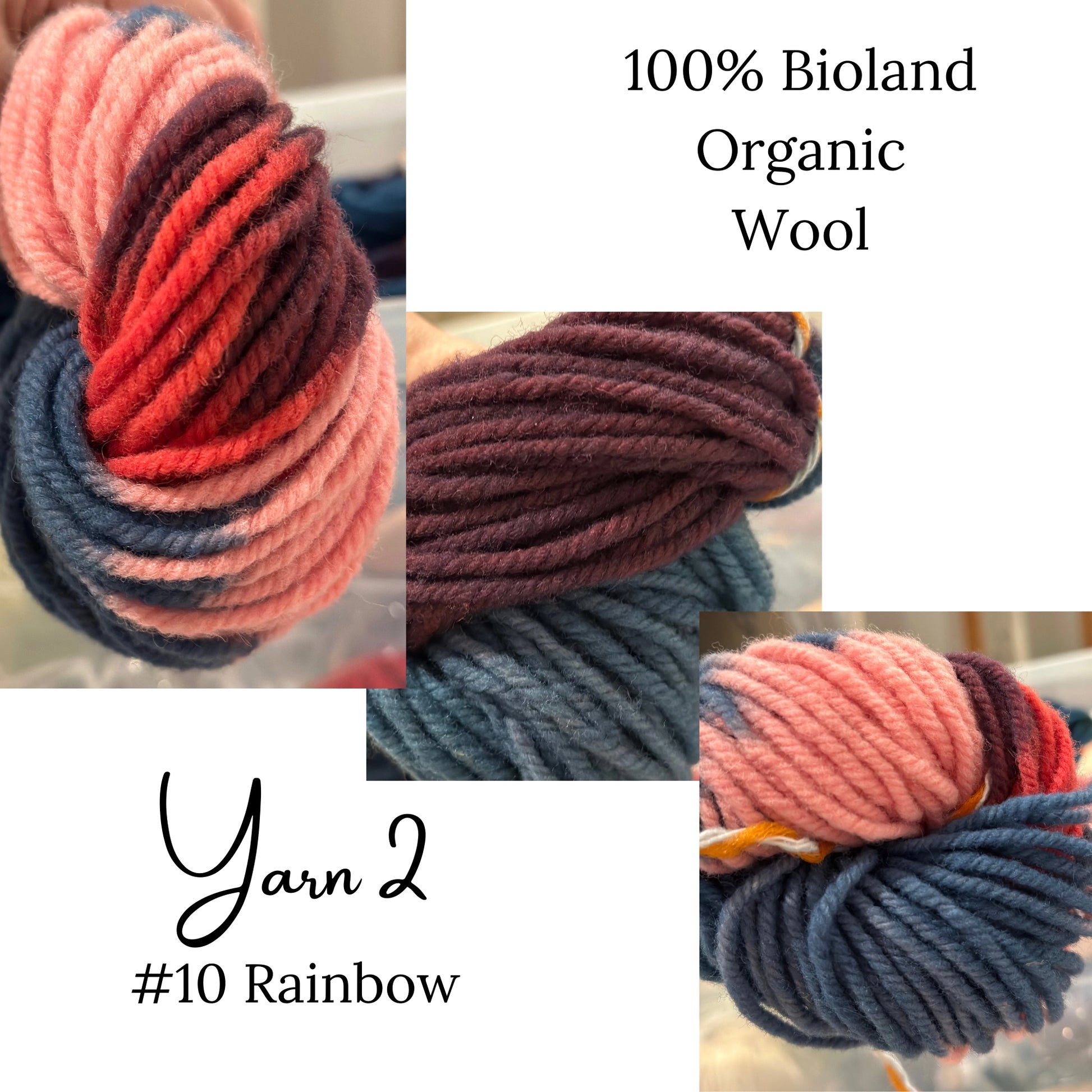 Organic Wool Yarn - Rainbow Yarn - Alder & Alouette