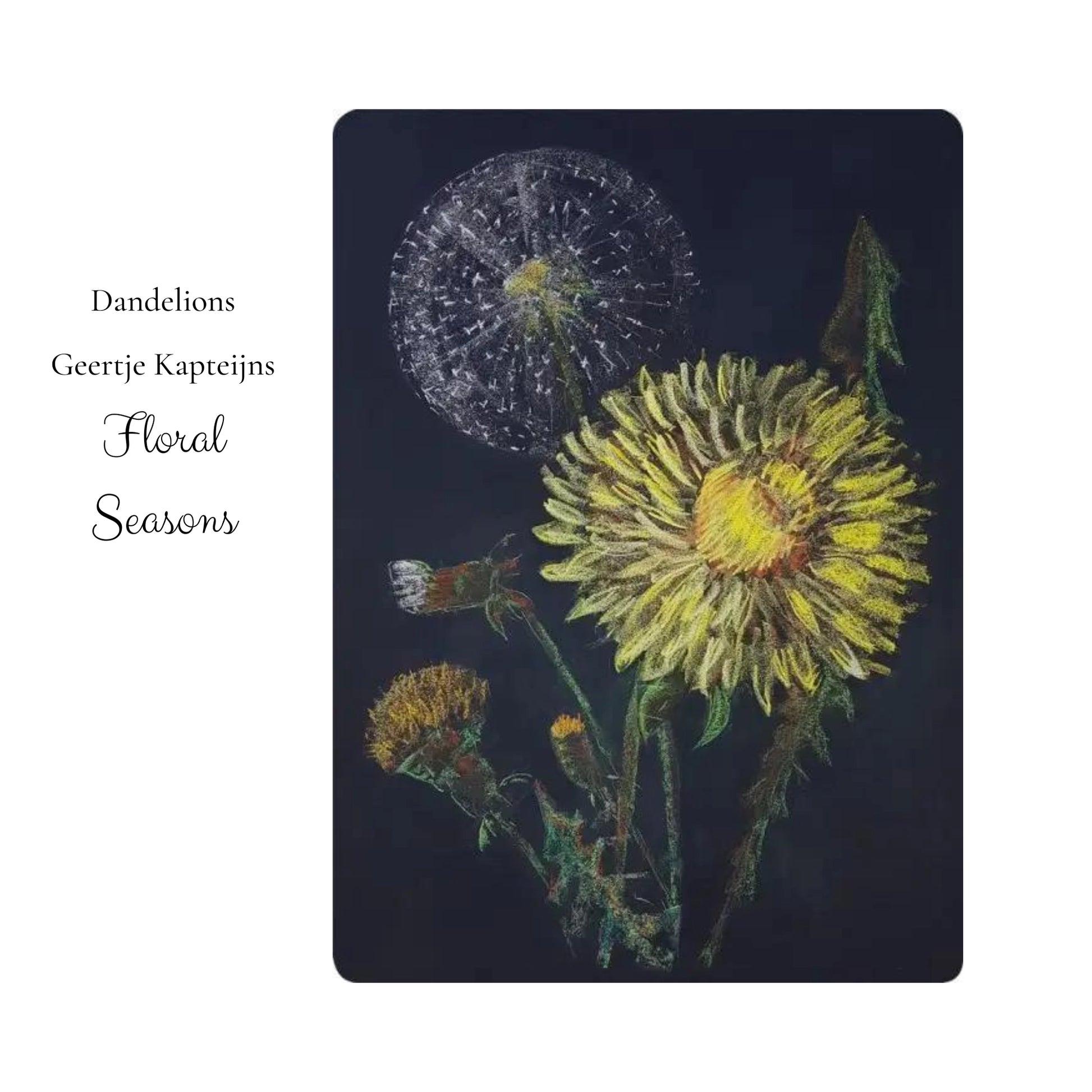 Geertje Kapteijns Art Card Set - Floral Seasons - Alder & Alouette