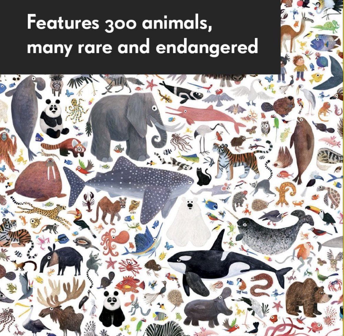 Animal Puzzle, 500 Piece-Hello Animals of the World - Alder & Alouette