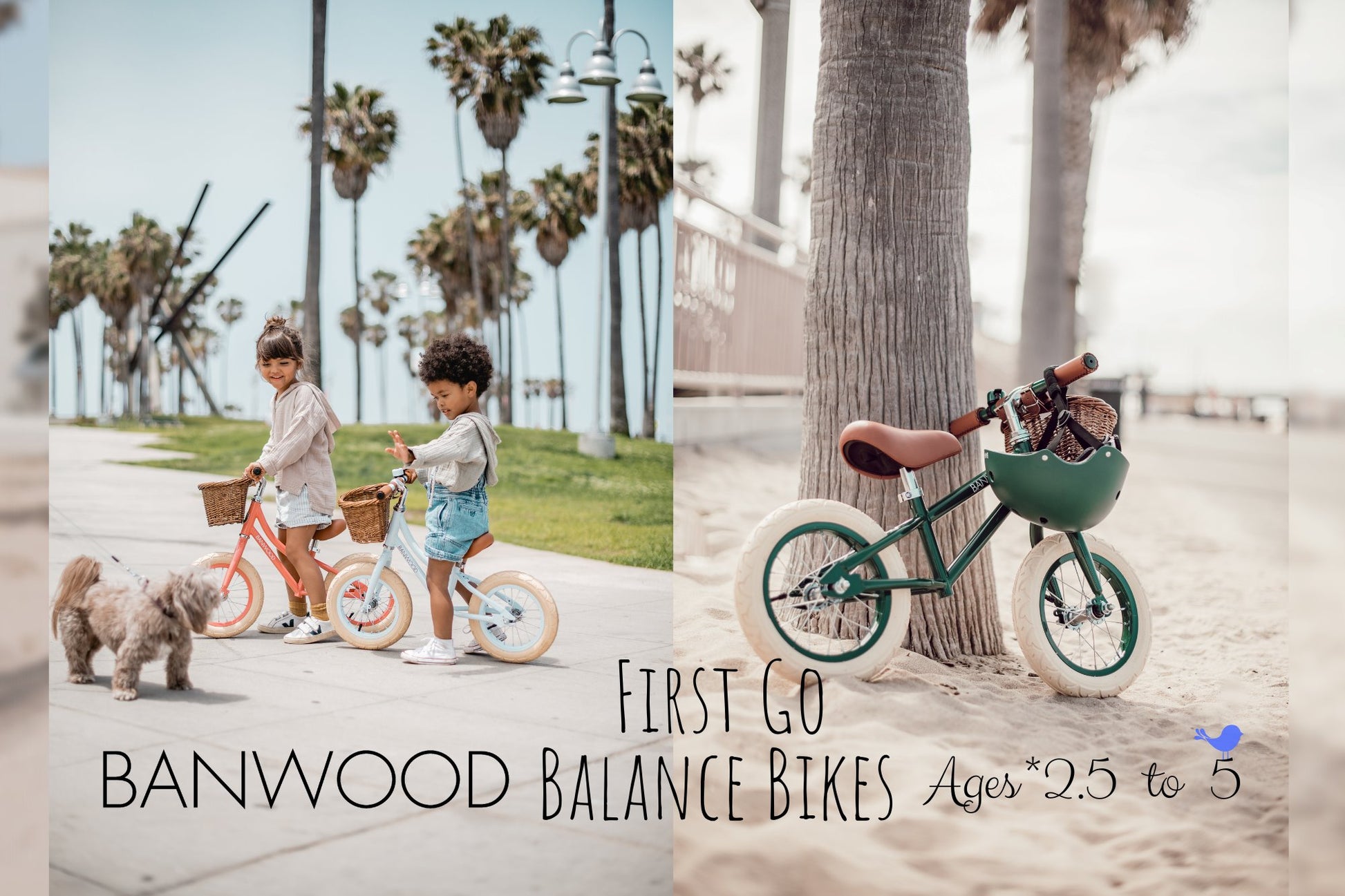BANWOOD Balance Bike - First Go Balance Bike - Alder & Alouette