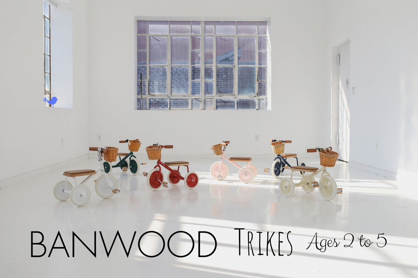 BANWOOD Trike in Multiple Colors Riding Toys - Alder & Alouette