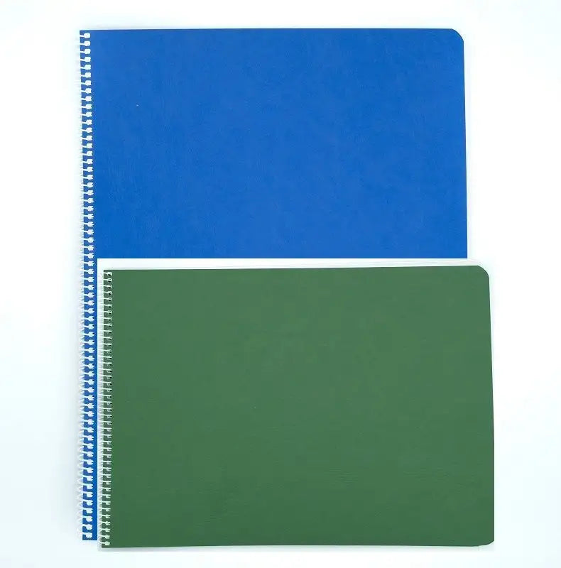 Book of Centuries - Two Types (K-5 & 6-8) Lesson Book - Alder & Alouette
