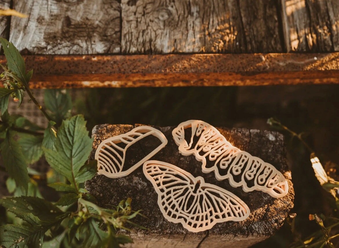 Butterfly Life Cycle Eco Cutter Set - Alder & Alouette