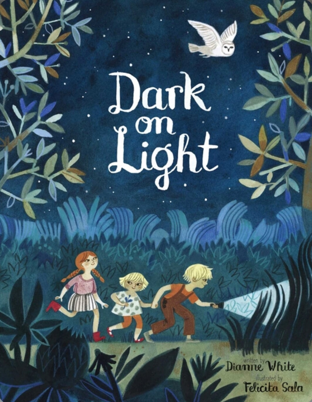 Dark on Light Picture Book about Nighttime Outdoors - Alder & Alouette