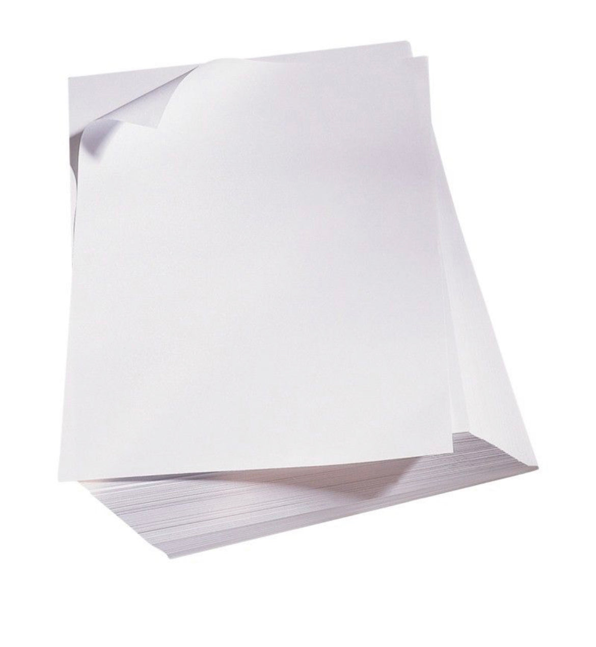 Drawing Paper 120 g - 500 sheets - Alder & Alouette