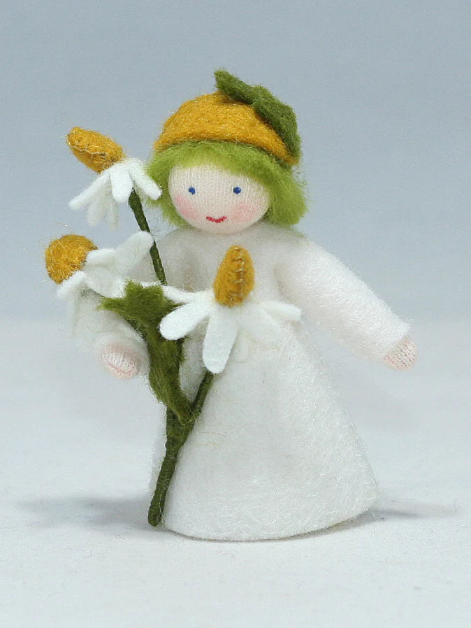 Flower Fairy - Chamomile Prince Flower fairies - Alder & Alouette