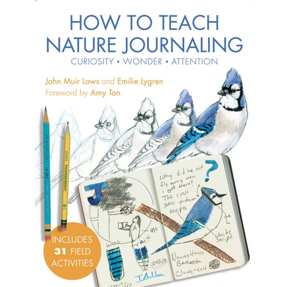 How to Teach Nature Journaling Arts and Crafts HeyDey Books | Alder & Alouette