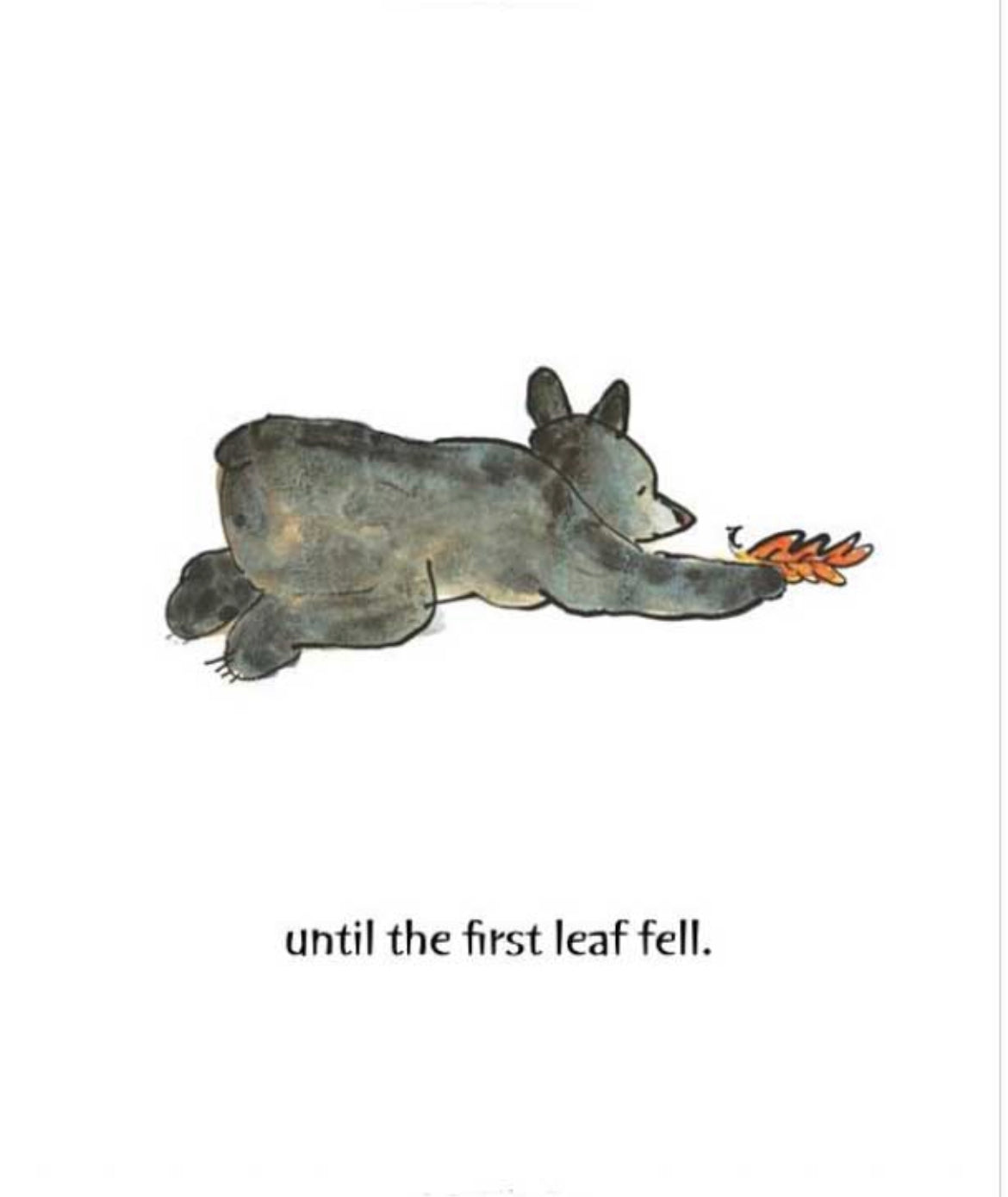 Leaves, a Book About Autumn, Spring and Hibernation - Alder & Alouette