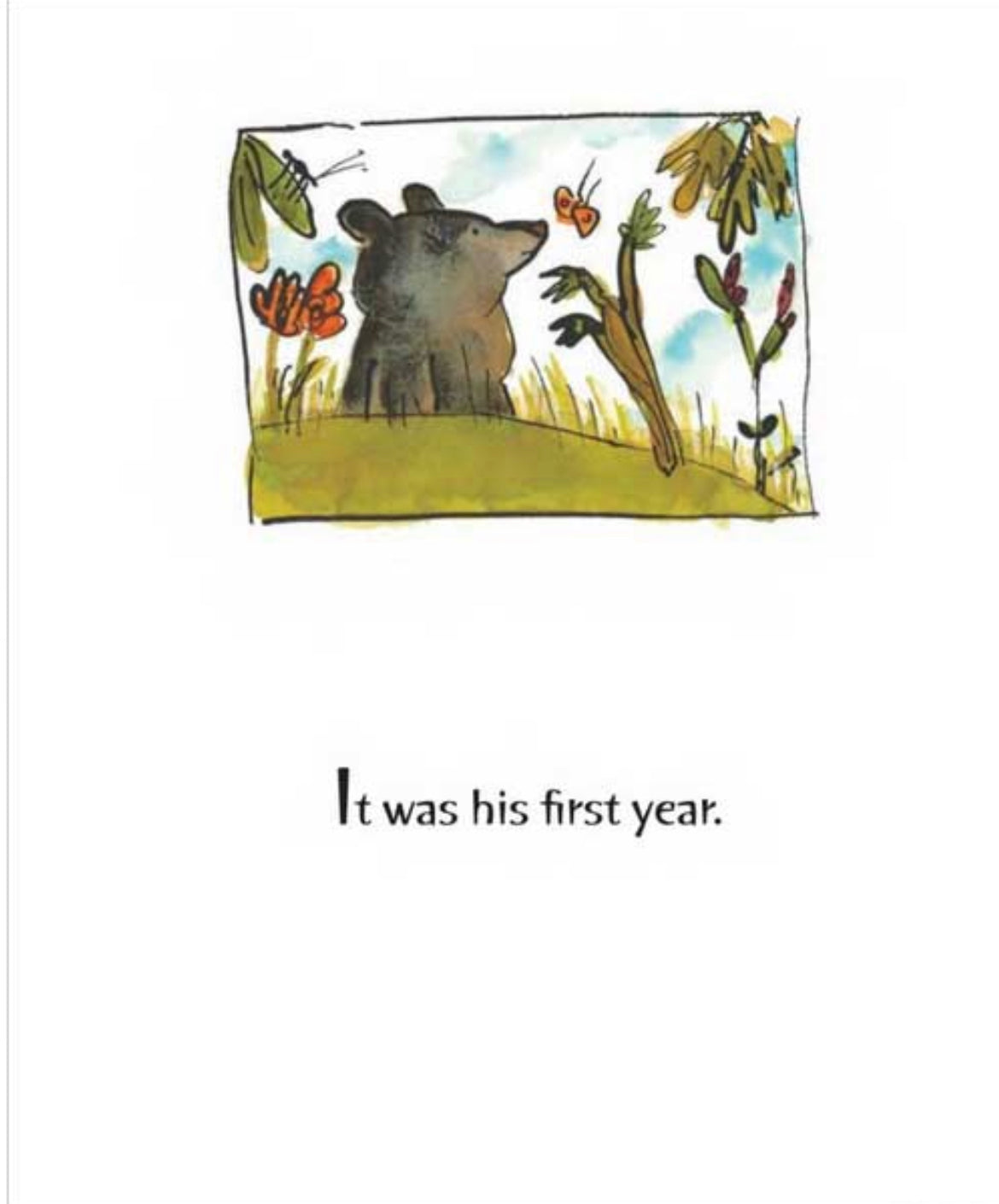 Leaves, a Book About Autumn, Spring and Hibernation - Alder & Alouette