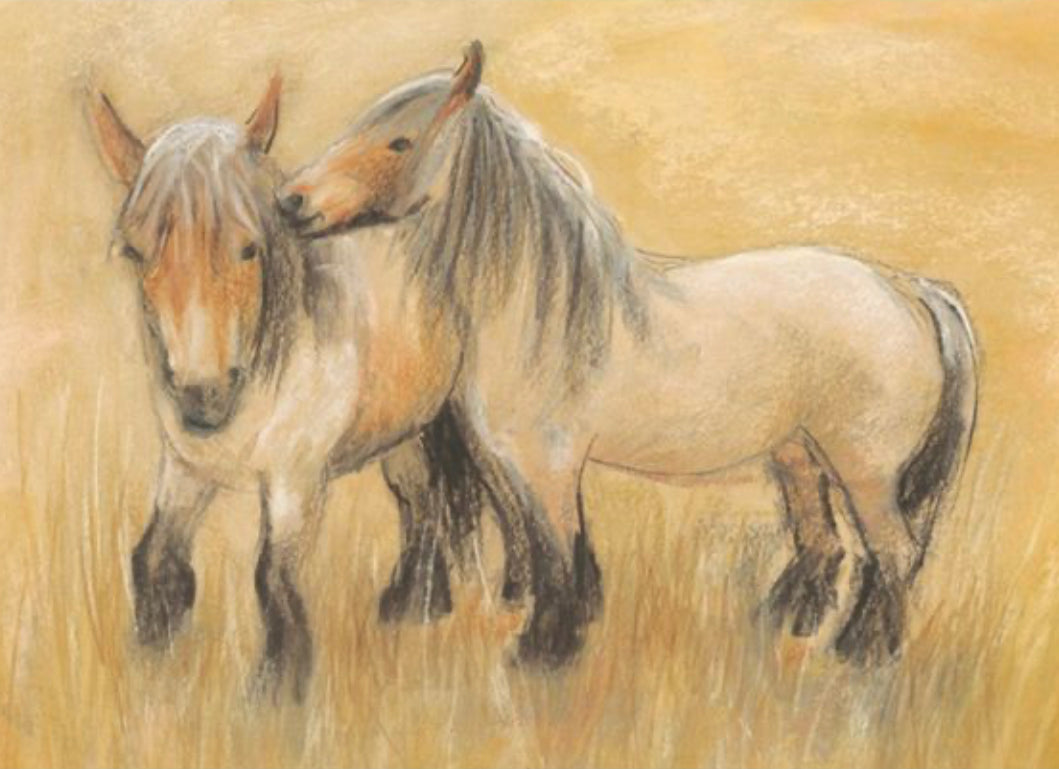 Marjan van Zeyl Postcard - True Belgium Horses Post Cards - Alder & Alouette