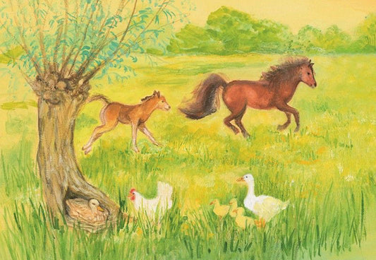 Marjan van Zeyl Postcards - Skittish Foal in the Meadow Post Cards - Alder & Alouette