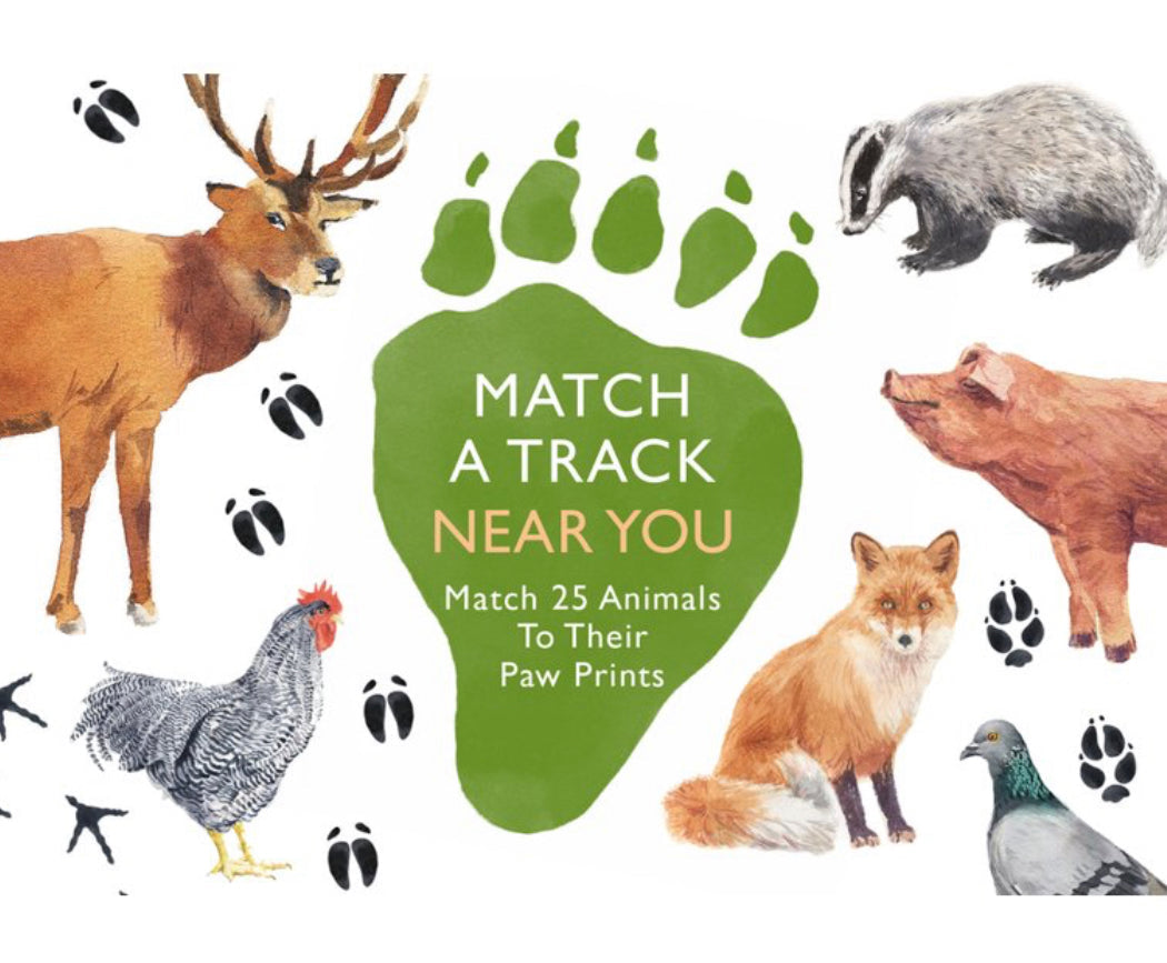 Match a Track Near You | Animal Matching Game - Alder & Alouette