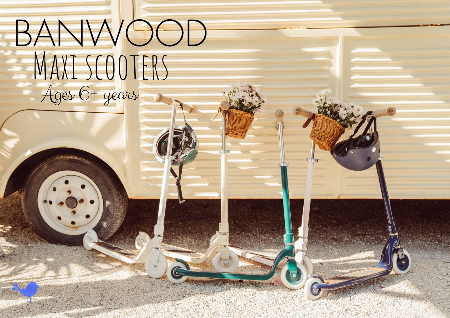 Maxi Scooter (Two-Wheel) by BANWOOD, Multiple Colors Riding Toys - Alder & Alouette