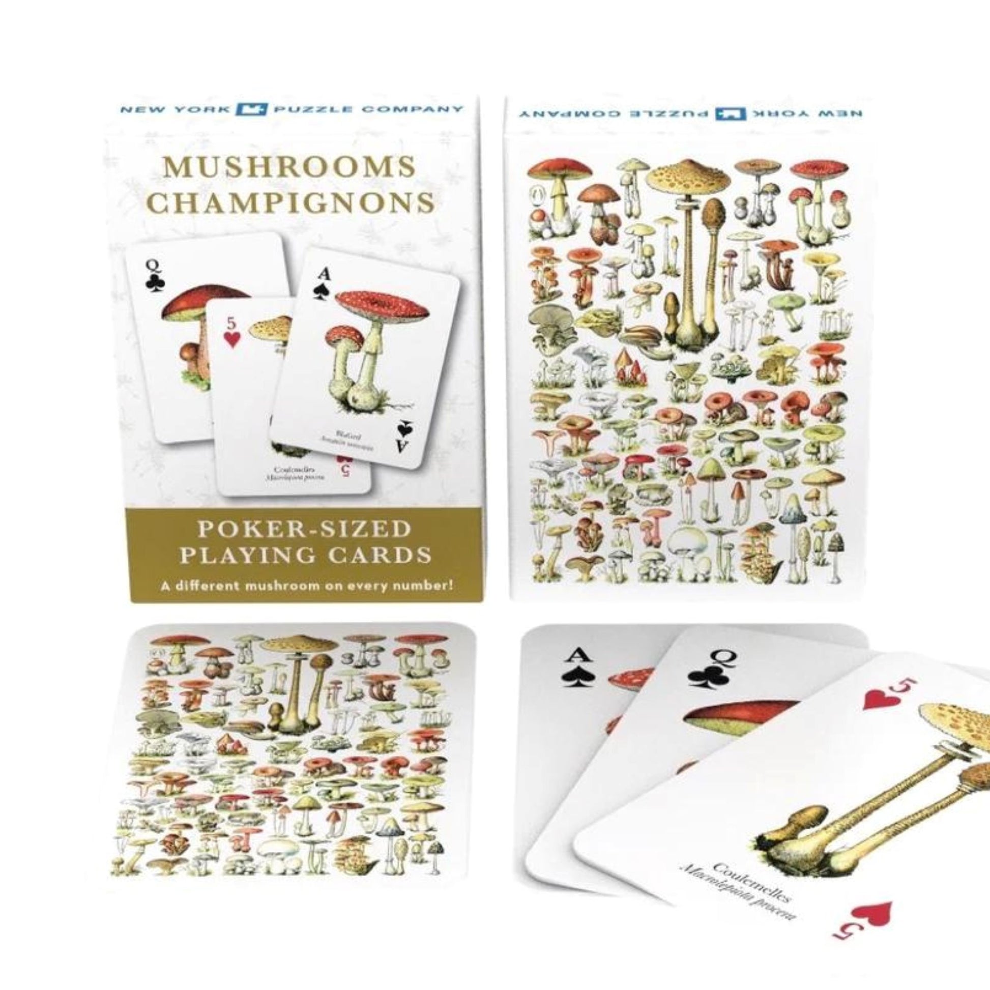 Mushrooms (Champignons) Art Illustrated Playing Cards Playing Cards - Alder & Alouette