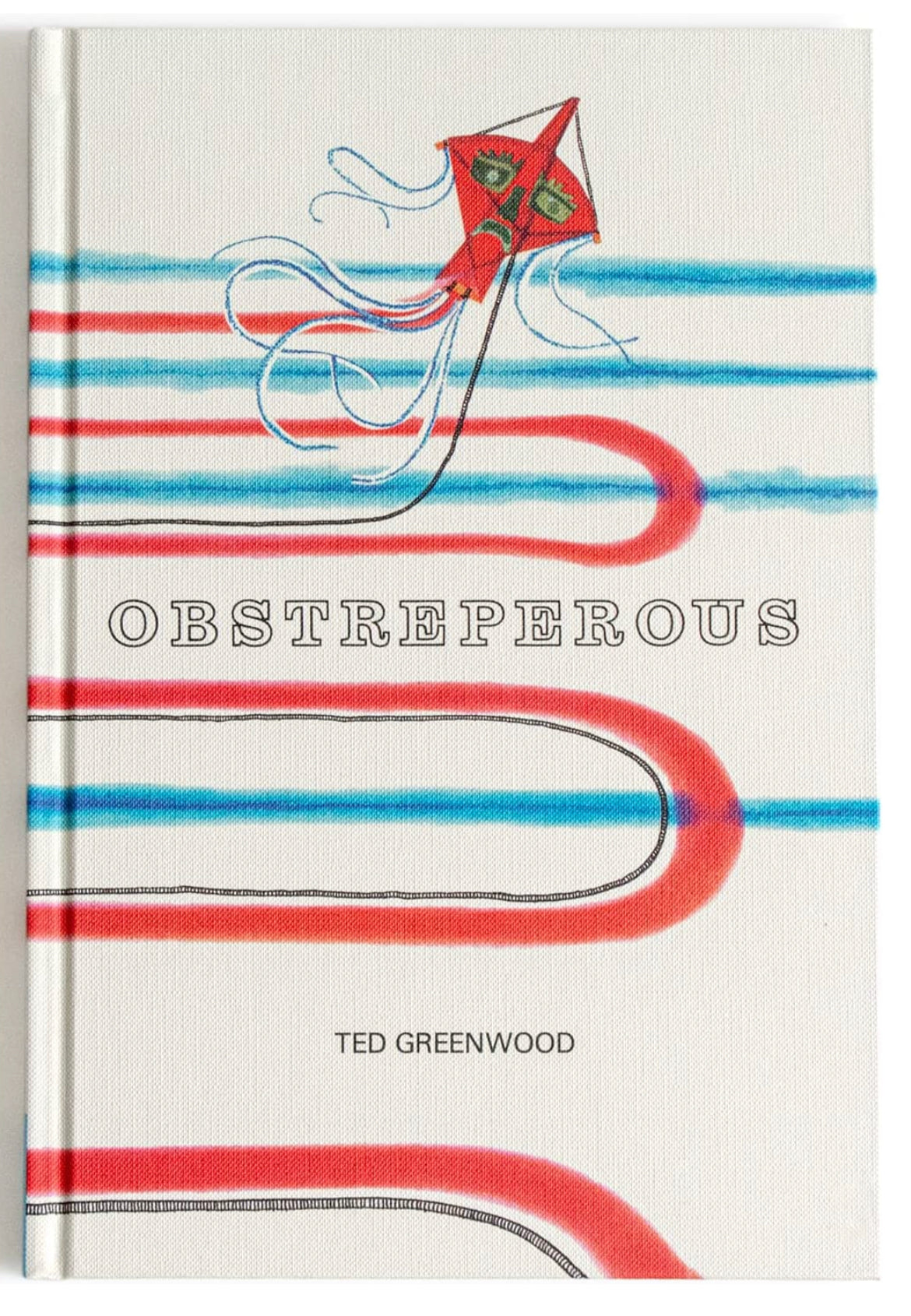 Obstreperous by Ted Greenwood - A Tale About An Unusual Homemade Kite Picture Books - Alder & Alouette