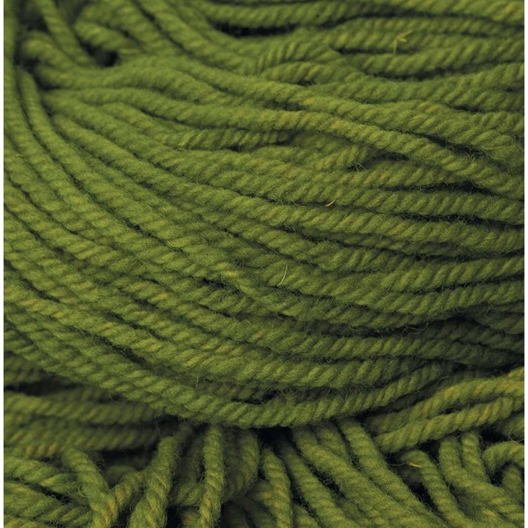 Bioland Wool Knitting Yarn Grass Green - Alder & Alouette