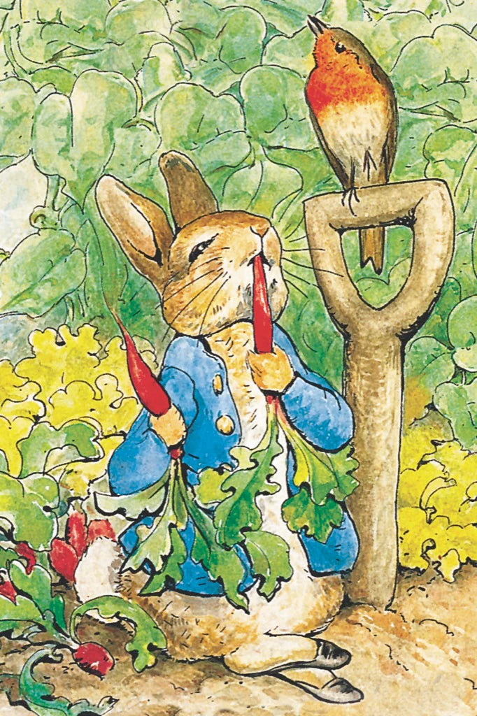 Peter Rabbit Puzzle, a Beatrix Potter Illustration Childrens Puzzles - Alder & Alouette