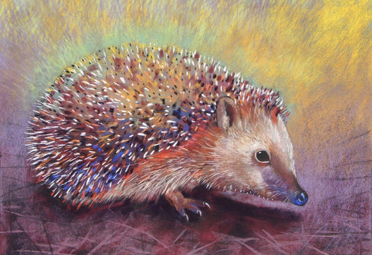 Radiate ( Hedgehog) | Loes Botman | Art Card - Alder & Alouette