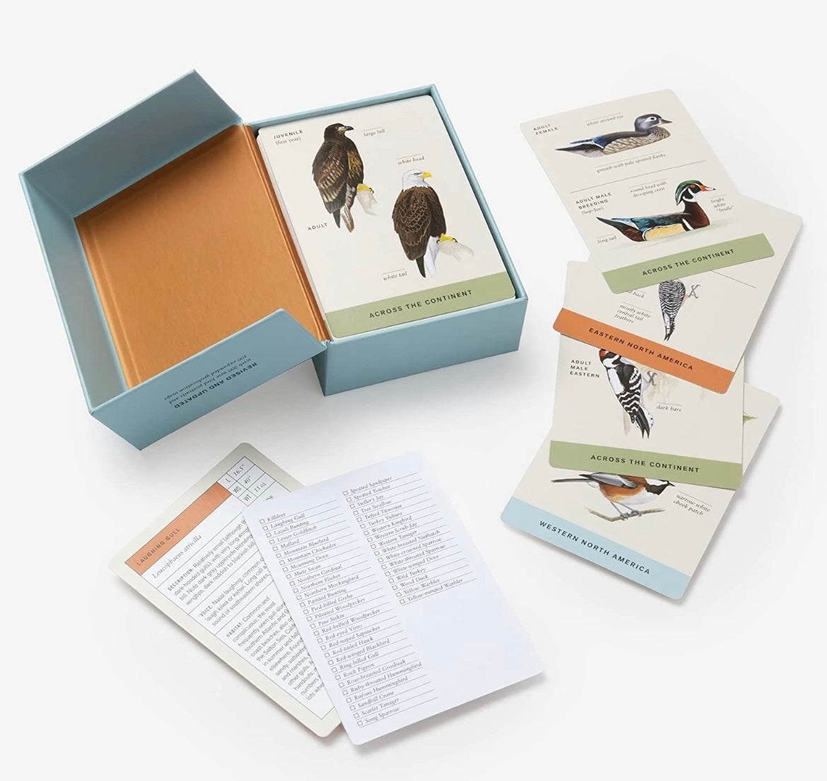 Sibley Backyard Birding Flashcards, New for 2023 Birding Cards - Alder & Alouette