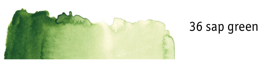 Sap Green, Stockmar Opaque Paint Colorbox Replacement - Alder & Alouette
