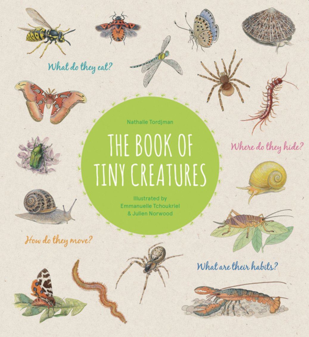The Book of Tiny Creatures Alder & Alouette | Alder & Alouette