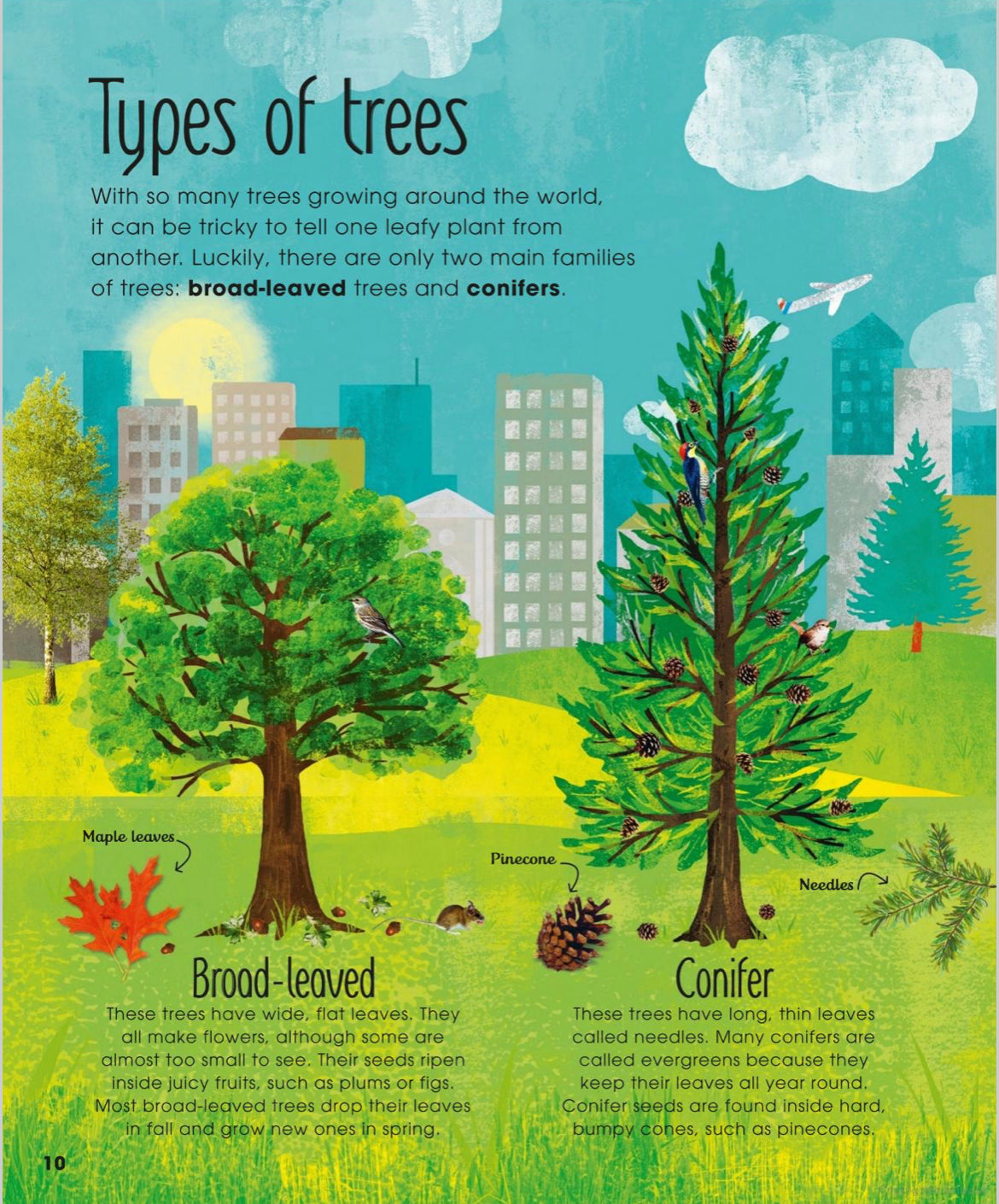 The Magic and Mystery of Trees - Tree Science for Kids - Alder & Alouette