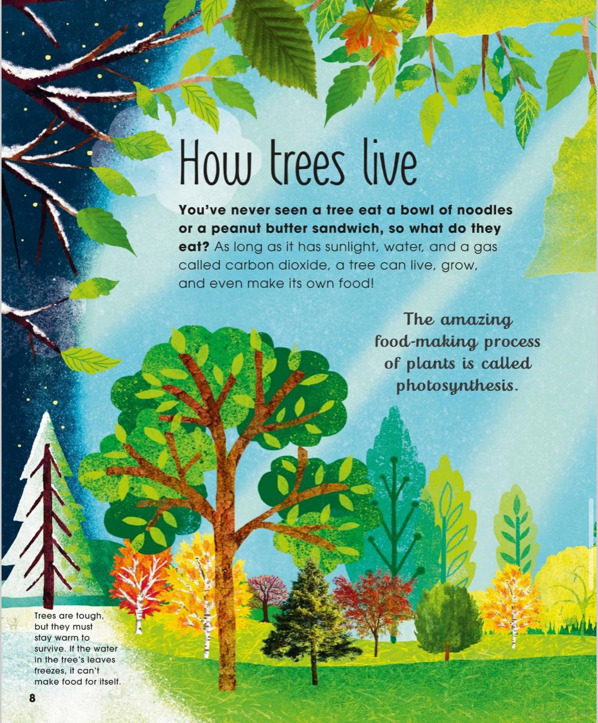 The Magic and Mystery of Trees - Tree Science for Kids - Alder & Alouette