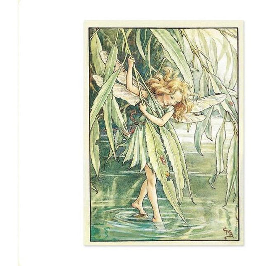 The Willow Flower Fairy | Fairy Postcards - Alder & Alouette