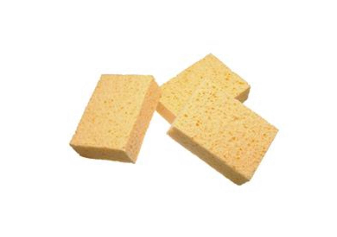 Watercolor Sponge | Viscose Sponge Wood + Cotton - Alder & Alouette